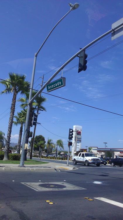 Avocado street