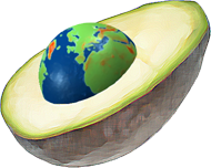 AVOCADO