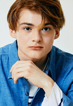 Nikita M.