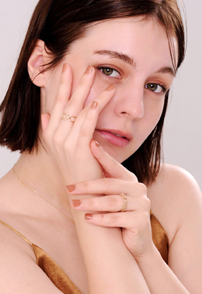 Vlada N.